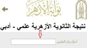 جاري الرفع.. استعلم عن نتيجة الثانوية الأزهرية 2024 علمي وأدبي عبر natiga.azhar.eg بوابة الأزهر الشريف