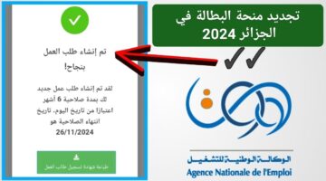 وداعًا للقلق.. الوكالة الوطنية للتشغيل توضح رابط تجديد منحة البطالة في الجزائر 2024 خلال دقائق