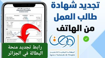 الوكالة الوطنية للتشغيل تعلن رابط تجديد منحة البطالة في الجزائر 2024.. ماهي الشروط والمستندات المطلوبة؟