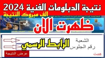 "برقم الجلوس fany.emis.gov.eg".. ترقبوا نتيجة الدبلومات الفنية 2024 (صناعي - زراعي - تجاري - سياحي) عبر بوابة التعليم الفني tech.moe.gov.eg