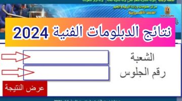 "من هنا" لينك نتيجة الدبلومات الفنية برقم الجلوس بوابة التعليم الفني