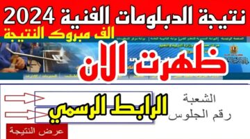 "لينك سريع" إعلان نتيجة الدبلومات الفنية 2024 برقم الجلوس لجميع المحافظات