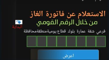 بالخطوات.. طريقة الاستعلام عن فاتورة الغاز ودفعها بسهولة من خلال الإنترنت من منزلك