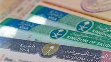 ما هي خطوات التسجيل في منصة تأشيرات للحصول على تأشيرة؟