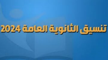 الآن من هنا..تعرف على تنسيق مدارس الثانوية العامة في محافظة الجيزة