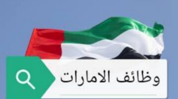 عقود عمل في الامارات.. ما هي شروط العمل وانواع العقود؟