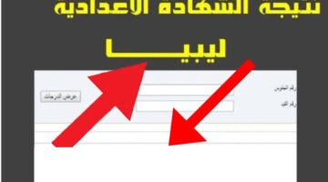 استعلم الآن.. لينك نتيجة الشهادة الإعدادية ليبيا 2024 الدور الأول natija.moel.ly