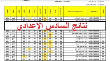 عبر موقع نتائجنا.. خطوات الاستعلام عن نتيجة السادس الاعدادي 2024