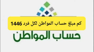 وزارة الموارد البشرية توضح كم مبلغ حساب المواطن لكل فرد 1446 طريقة احتساب الدعم