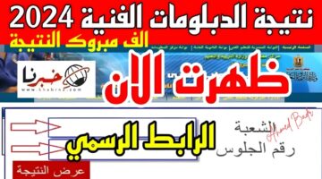 اعرف نتيجتك.. رابط نتيجة الدبلومات الفنية 2024 tech.moe.gov