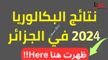 بدأ الآن.. العد التنازلي لنتائج البكالوريا 2024 وموعد إعلانها عبر فضاء أولياء التلاميذ
