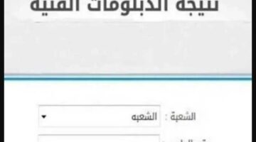 رابط الكترونى سريع "fany.emis.gov" استعلام عن نتائج الدبلومات الفنية 2024 جميع المحافظات عبر موقع بوابة التعليم الفني