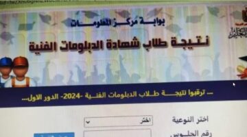 LINK الكترونى "نتيجة شهادة الدبلومات الفنية" رابط نتائج الدبلومات الصناعية والزراعية والتجارية والفندقية 2024 بوابة التعليم الفني