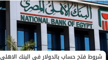 كيفية فتح حساب بالدولار الأمريكي في البنك الأهلي.. الشروط والخطوات المطلوبة