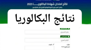 بضغطة واحدة.. استعلم عن نتيجة البكالوريا في الجزائر 2024 عبر موقع وزارة التربية الوطنية