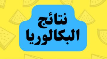 بعد طول انتظار .. النتائج الامتحانية عبر لينك نتائج البكالوريا سوريا 2024 خلال دقائق