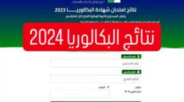 اعرف نتيجتك.. رابط مباشر bac onec dz نتائج البكالوريا 2024 بالجزائر عبر الديوان الوطني