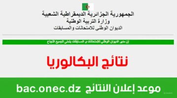 "الموعد الرسمي للظهور".. bac.once.dz 2024 هنا نتائج البكالوريا الجزائر جميع الولايات عبر الديوان الوطني