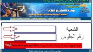 رابط الاستعلام عن نتائج الدبلومات الفنية 2024 “صناعي و تجاري و زراعي و فندقي” برقم الجلوس بوابة التعليم الفني