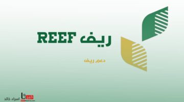 "وزارة البيئة والمياه" توضح موعد ايداع دعم ريف شهر يوليو 2024 وخطوات الاستعلام عن الأهلية