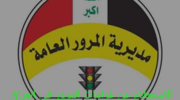 كيفية الاستعلام عن غرامات المرور بالعراق عبر منصة Arrow.. اليكم التفاصيل