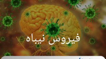 وفاة طفل بسبب فيروس نيباه.. الخفاش القاتل الذي يهدد البشرية