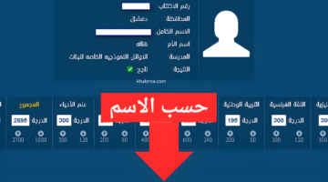 moed.gov.sy رابط نتائج البكالوريا 2024 سوريا ادبي وعلمي برقم الاكتتاب وزارة التربية