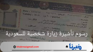كم قيمة رسوم تأشيرة زيارة شخصية للسعودية 2024؟.. "الخارجية" توضح
