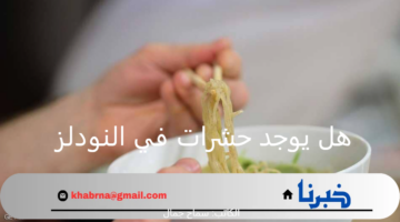 هل يوجد حشرات في النودلز ؟ الرد الحاسم من الهيئة العامة للغذاء والدواء