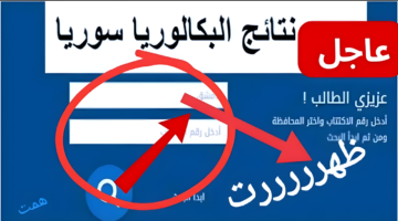 "أخيراً ظهرت رسمياً".. رابط نتائج امتحانات البكالوريا سوريا 2024 عبر تطبيق نتائج الامتحانات moed.gov.sy/moed-apps ورابط وزارة التربية السورية