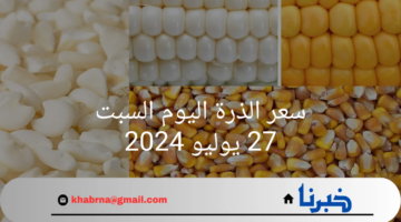 سعر الذرة اليوم السبت 27 يوليو 2024 في الأسواق المحلية للمستهلك