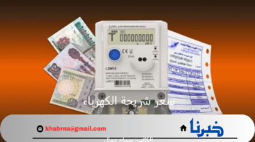 الحكومة المصرية تعلن عن أسعار شرائح الكهرباء 2024 بعد التغيرات الأخيرة