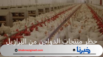 حظر منتجات الدواجن من البرازيل بشكل مؤقت بعد انتشار مرض النيوكاسل