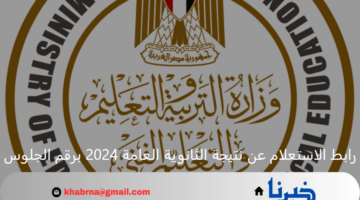 بمجرد اعتمادها .. رابط الاستعلام عن نتيجة الثانوية العامة 2024 برقم الجلوس بعد تصريحات الوزارة