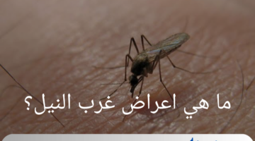 ما هي اعراض غرب النيل؟ من الانفلونزا إلى الالتهاب الدماغي