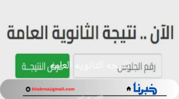 رابط سريع.. الاستعلام عن نتيجه الثانويه العامه 2024 عبر موقع وزارة التربية والتعليم