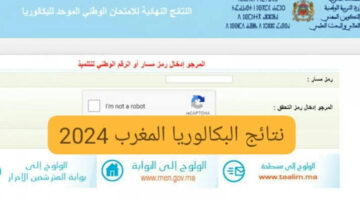 بعد قليل .. نتائج البكالوريا في المغرب 2024 برابط فعال وخطوات بسيطة 