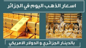 "آخر تحديث"... ارتفاع سعر الذهب في منتصف تعاملات اليوم في الجزائر الأربعاء 10 يوليو 2024
