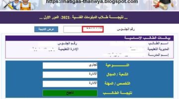 الأن .. رابط الاستعلام عن نتيجة الدبلومات الفنية 2024 بالأسم ورقم الجلوس