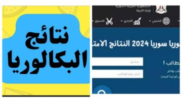 "بخطوات بسيطة" نتائج البكالوريا في سوريا عبر موقع وزارة التربية والتعليم moed gov sy