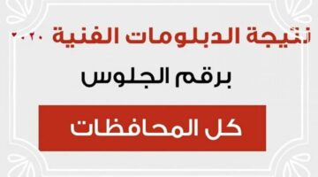 (لينك فَعال) نتيجه الدبلومات الفنيه 2024 برقم الجلوس عبر بوابة التعليم fany.emis.gov.eg