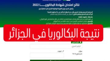 من هنا ... الاستعلام عن نتائج البكالوريا في الجزائر 2024 وموعد ظهور النتيجة
