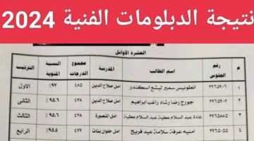 نتيجة الدبلومات الفنية 2024 برقم الجلوس اليوم السابع عبر fany emis gov “تجاري وصناعي وزراعي فندقي”