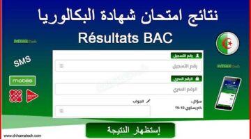 هــذا رابط نتائج البكالوريا 2024 الجزائر "Bac onec dz" عبر موقع وزارة التربية الوطنية