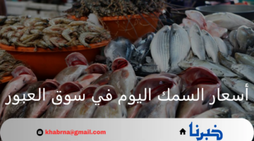 أسعار السمك اليوم في سوق العبور وحتى يصل إلى يد المستهلك الخميس 25 يوليو