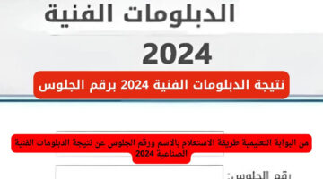 “نتيجتك هٌناا”.. روابط نتيجة الدبلومات الفنية 2024 بوابة التعليم الفني fany.emis.gov.eg