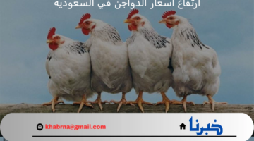 بورصة الدواجن اليوم ارتفاع اسعار الدواجن في السعودية الخميس 25 يوليو 2024