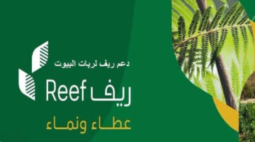 بضغطة واحدة.. استعلام دعم ريف ربات البيوت وكيفية التسجيل في الدعم 1446