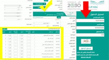استعلام نتائج الطلاب نظام نور 2024 بالمملكة العربية السعودية