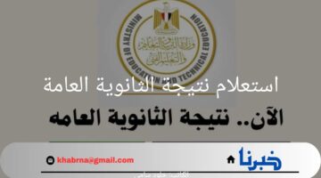 كيف يتم استعلام نتيجة الثانوية العامة 2024؟.. "وزارة التربية والتعليم" توضح